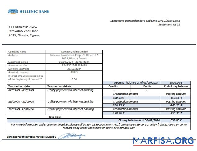 Printable Cyprus Hellenic bank business bank statement scr sample